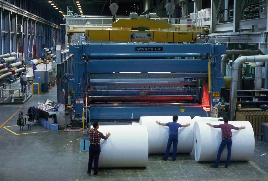 进口废纸买不了,国产废纸不好用,造纸业怎么办?
