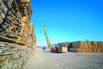 新西兰政府鼓励扩大对木材加工业的本地和离岸投资
